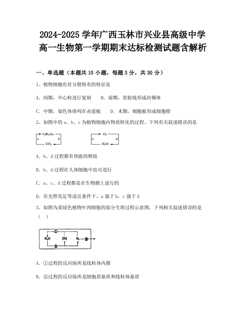 2024-2025学年广西玉林市兴业县高级中学高一生物第一学期期末达标检测试题含解析