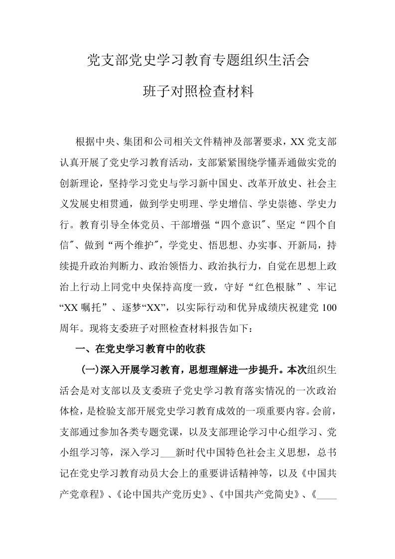 X公司党支部党史学习教育专题组织生活会支委班子对照检查材料