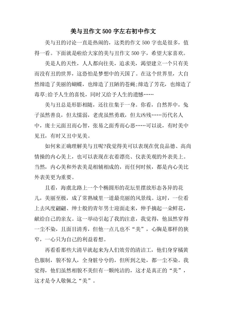 美与丑作文500字左右初中作文