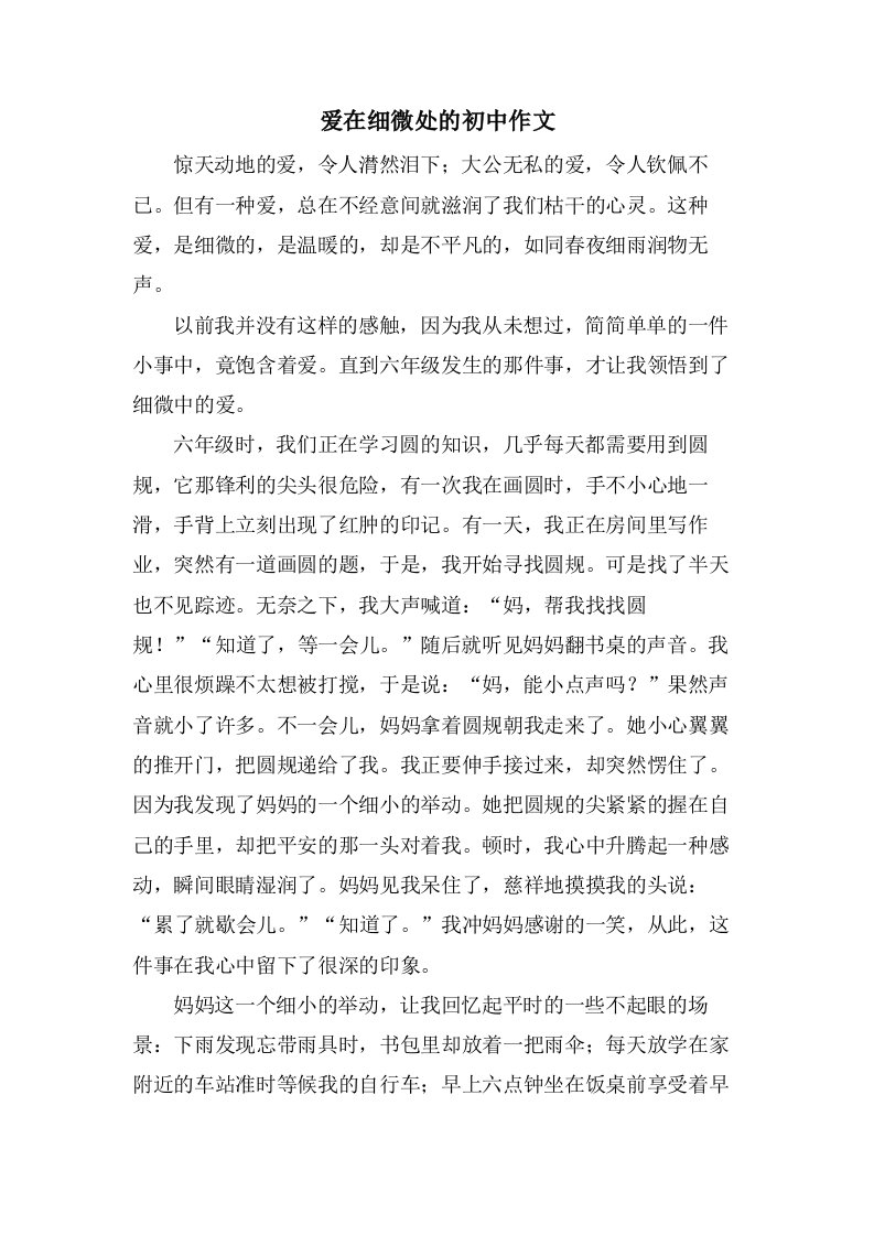 爱在细微处的初中作文