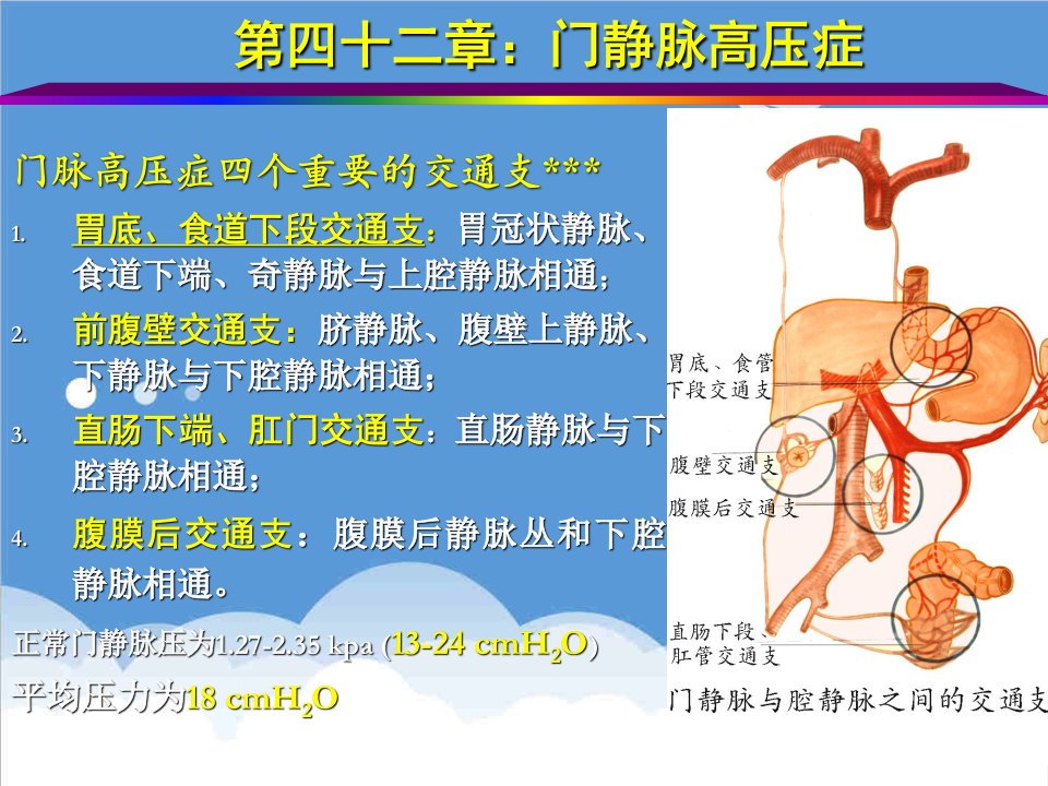 交通运输-门脉高压症四个重要的交通支