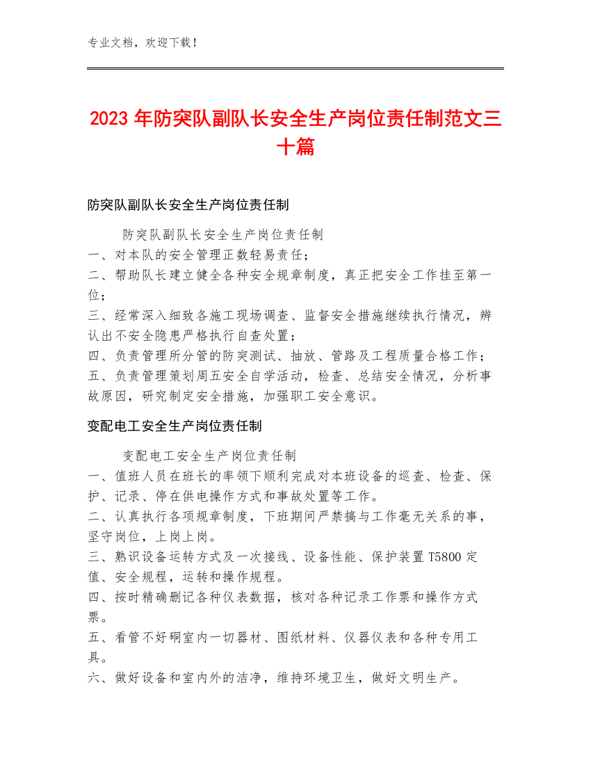 2023年防突队副队长安全生产岗位责任制范文三十篇