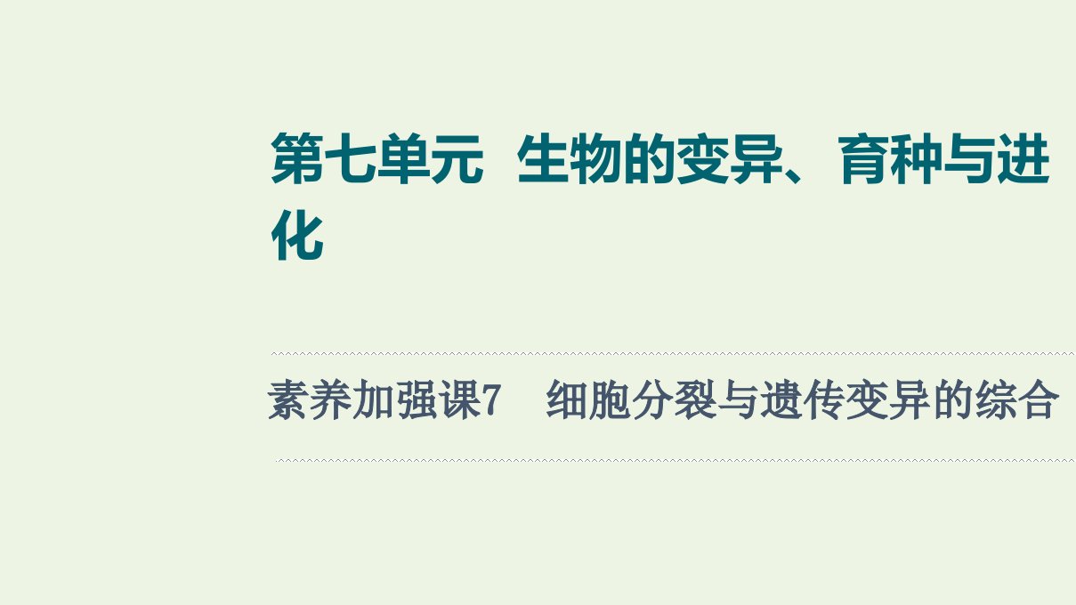 江苏专用版高考生物一轮复习第7单元生物的变异育种与进化素养加强课7细胞分裂与遗传变异的综合课件