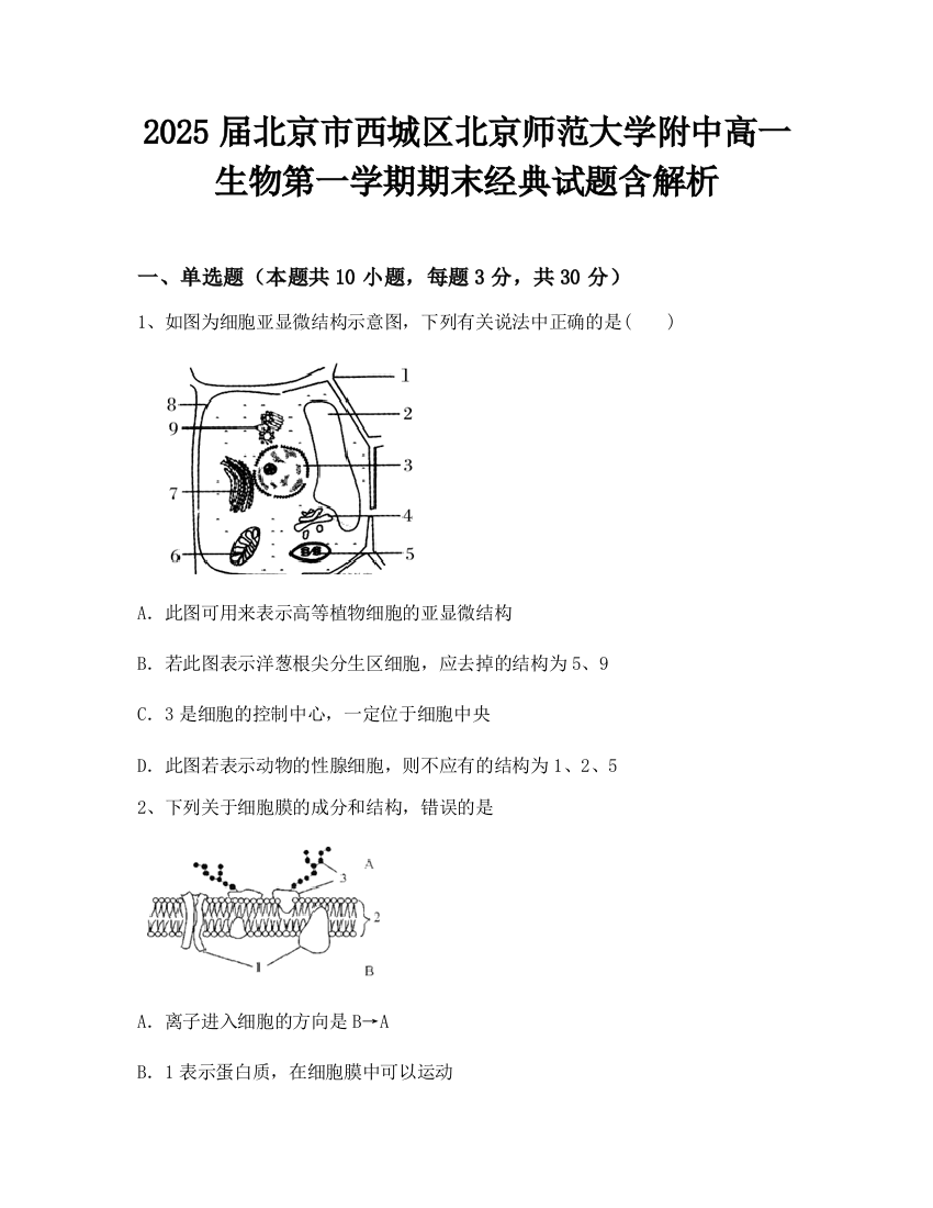 2025届北京市西城区北京师范大学附中高一生物第一学期期末经典试题含解析