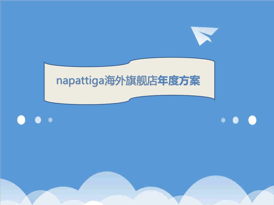 运营管理-napattiga海外旗舰店20XX年度运营方案副本25页