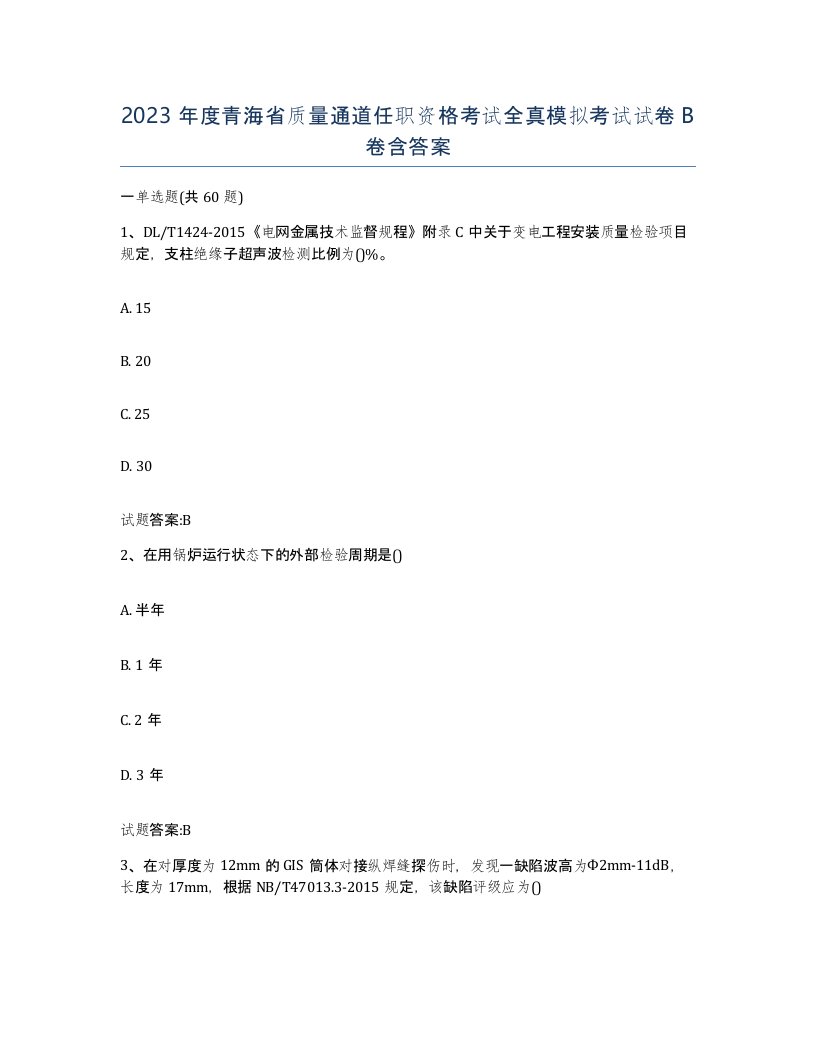 2023年度青海省质量通道任职资格考试全真模拟考试试卷B卷含答案