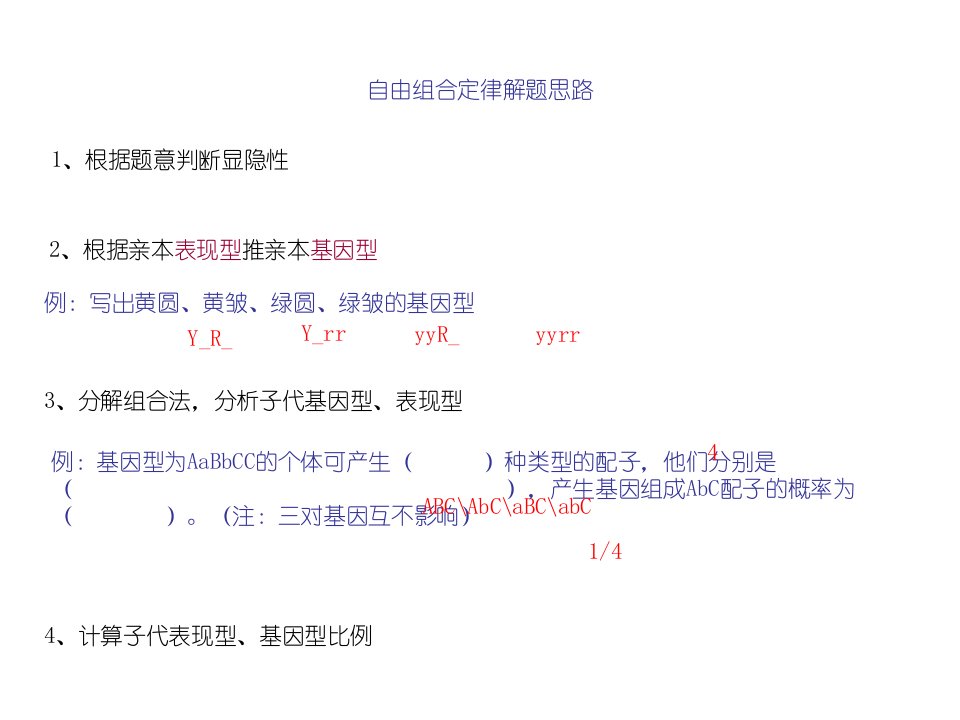 DPB高中一年级生物必修二自由组合