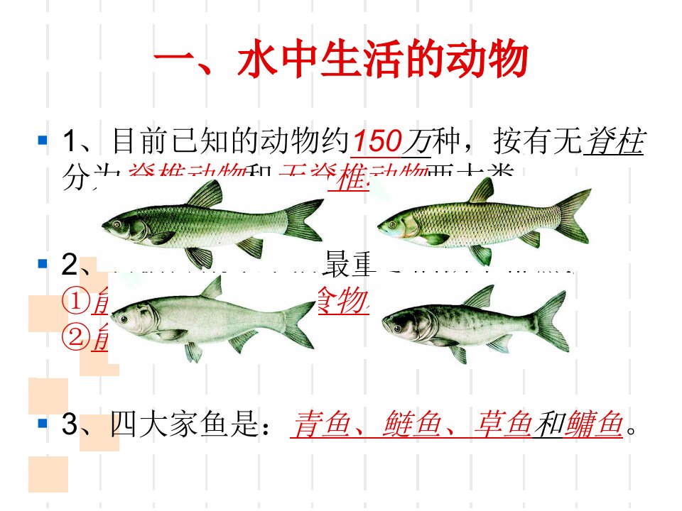 八年级生物上册生物复习