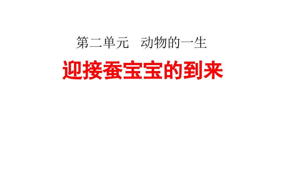 2020教科版小学科学三年级下册《迎接蚕宝宝的到来》课件