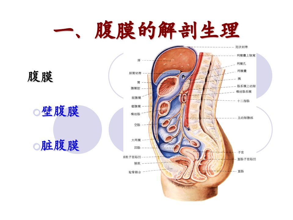 急性腹膜炎acuteperitonitis