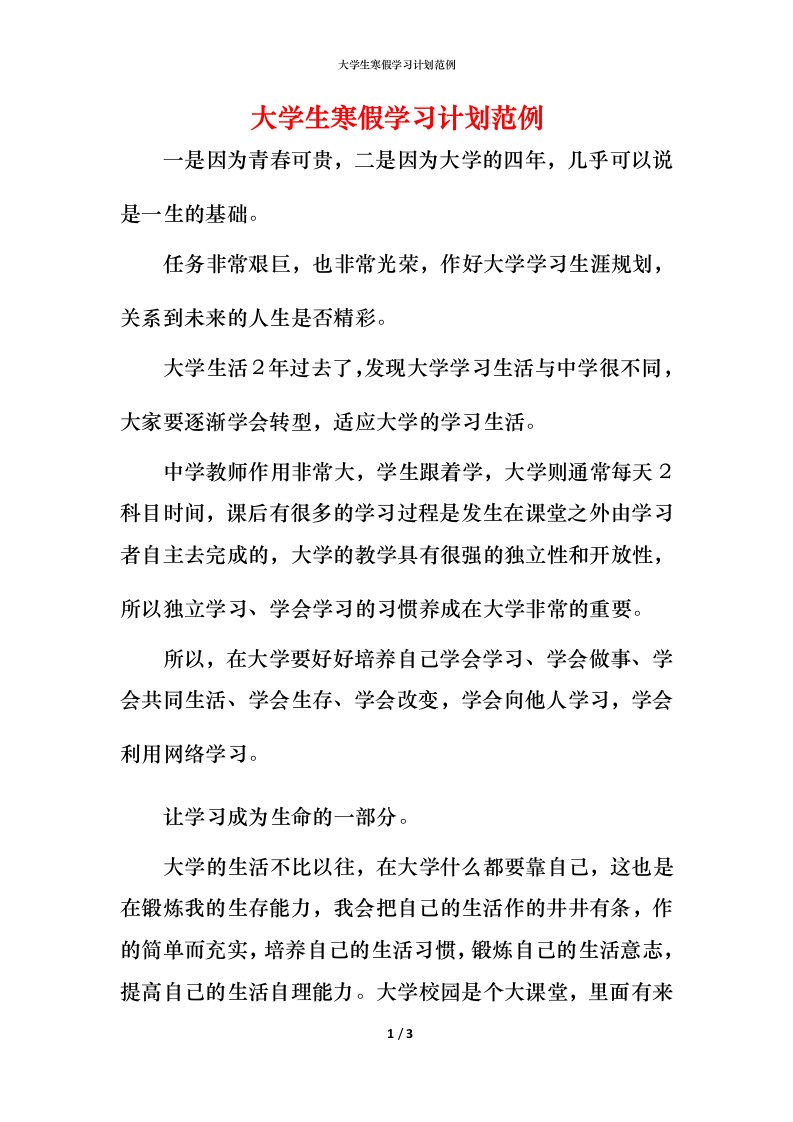 精编大学生寒假学习计划范例