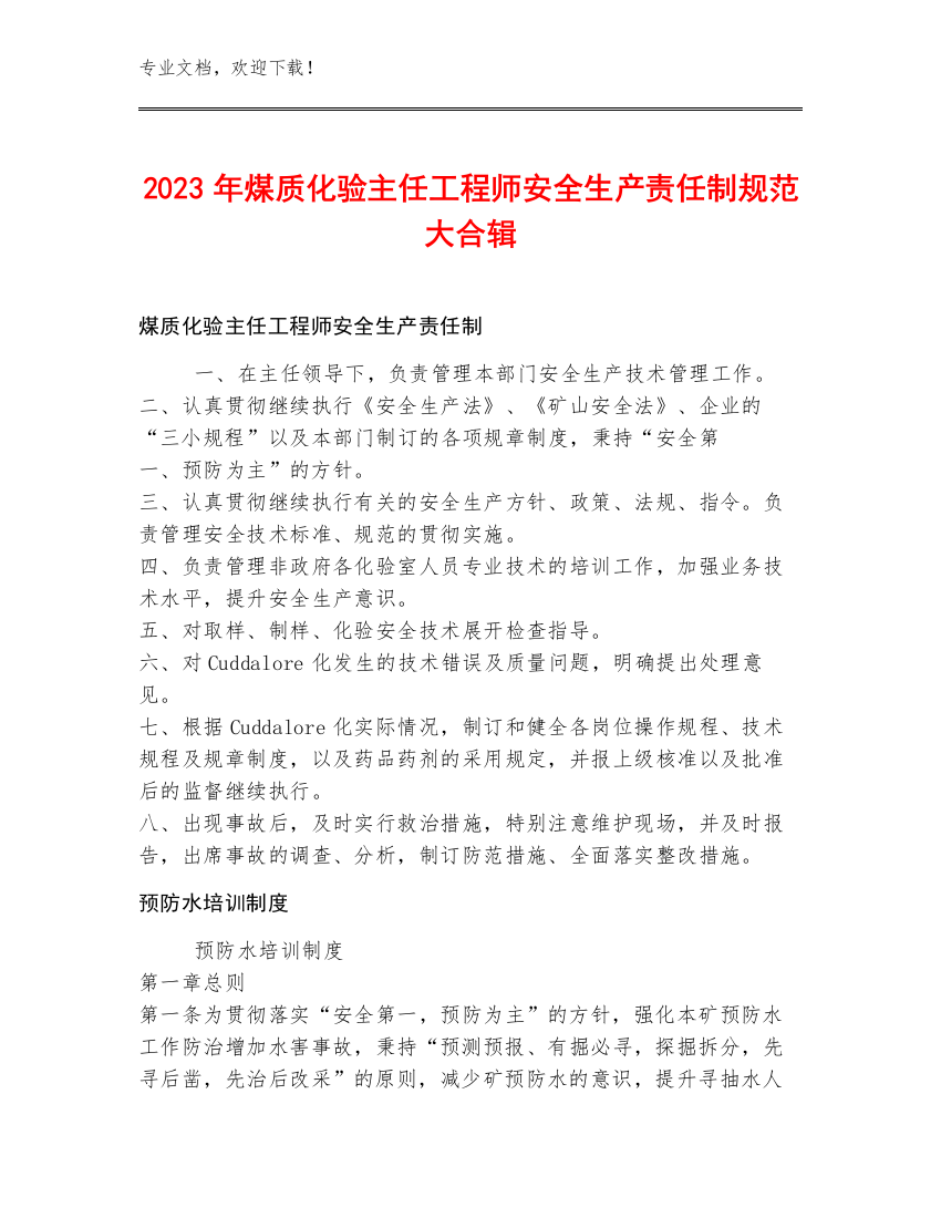 2023年煤质化验主任工程师安全生产责任制规范大合辑