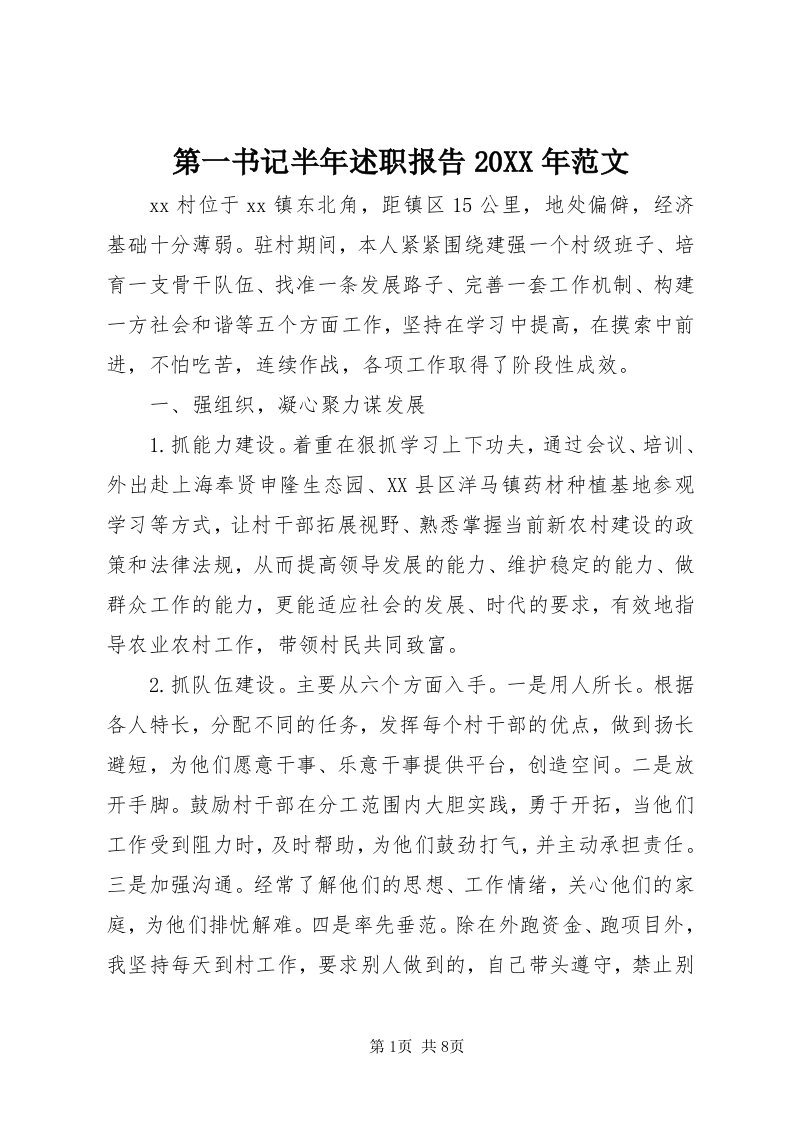 第一书记半年述职报告某年范文