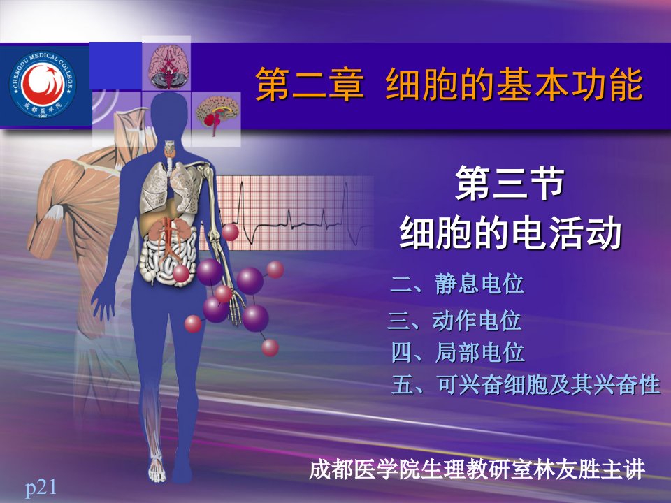 生理学课件：2-2细胞的生物电现象（8版-生理学本科）