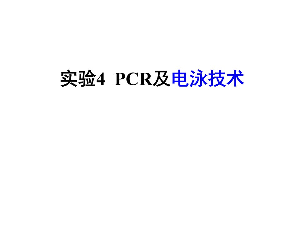 实验四PCR及电泳技术(1)