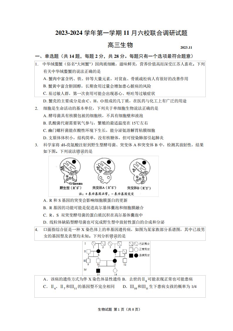 2024学年高三上学期期中联合调研生物试卷