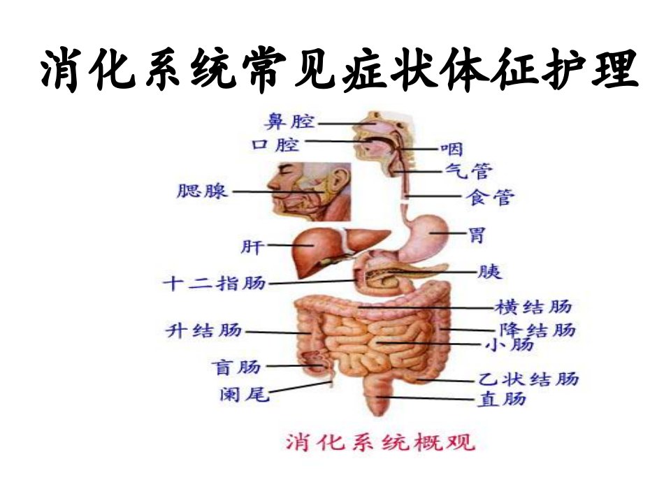 消化系统常见症状体征护理