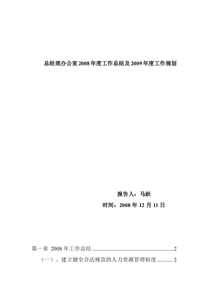 总经理办公室某年度工作总结及下年计划