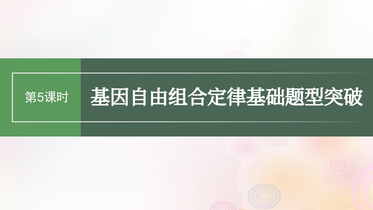 鲁湘辽新教材2024届高考生物一轮复习第五单元基因的传递规律第5课时基因自由组合定律基础题型突破课件