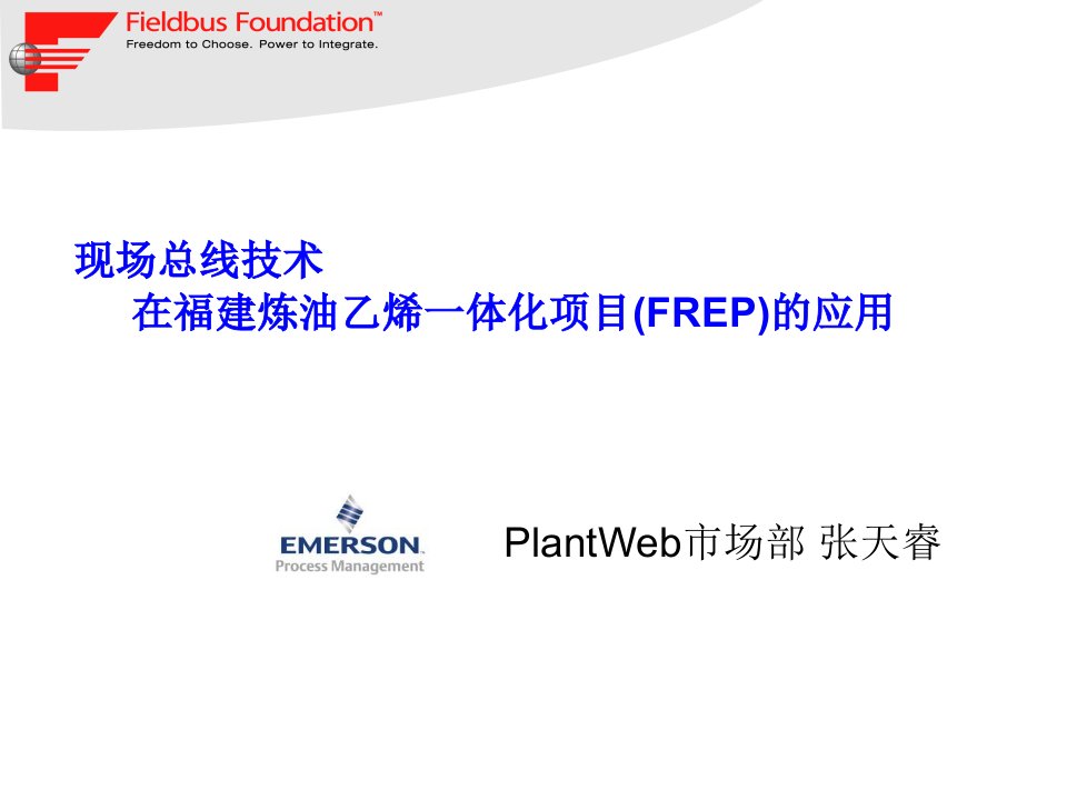 Ff在福建炼油乙烯一体化项目的应用(1)-Foundat