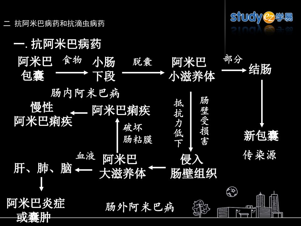 9抗阿米巴病药和抗滴虫病药