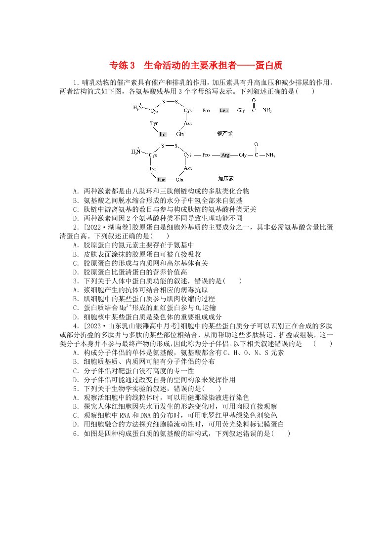 统考版2024版高考生物一轮复习微专题小练习专练3生命活动的主要承担者__蛋白质