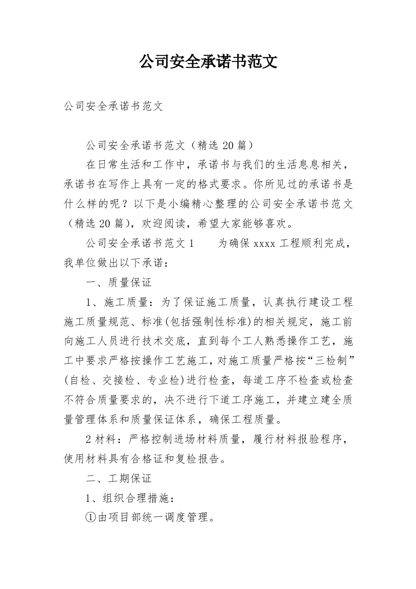 公司安全承诺书范文