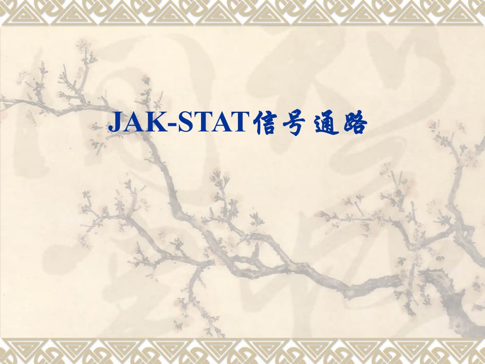 《JAKSTAT信号通路》PPT课件