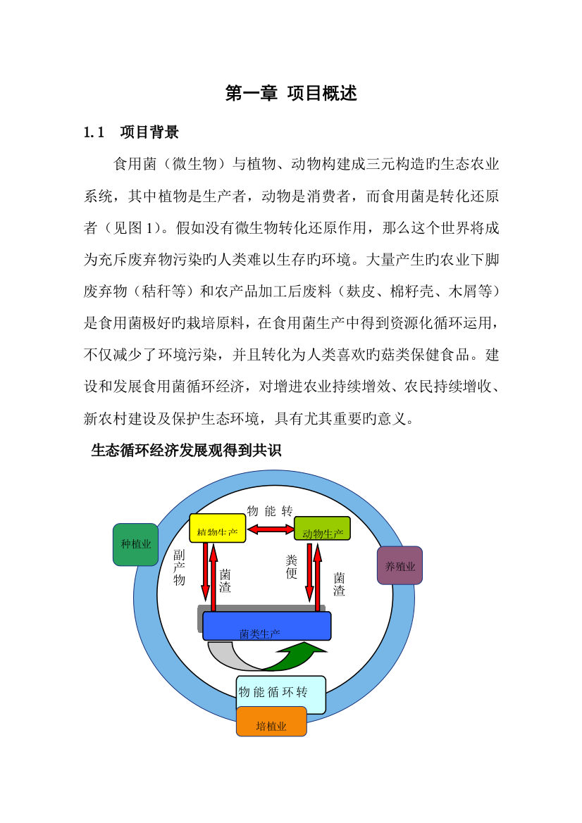 年工厂化栽培吨绿色食品金针菇项目精品