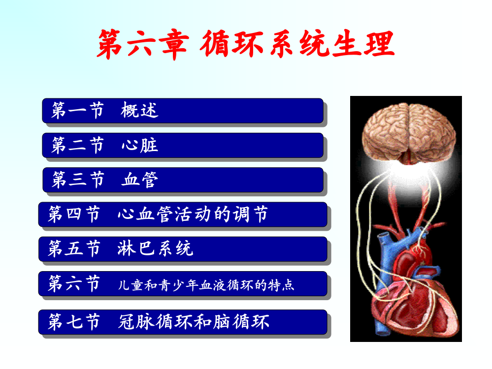 第六章-循环系统