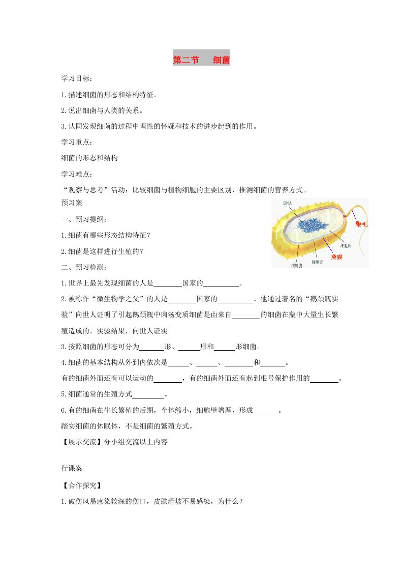 八年级生物上册5.4.2细菌导学案2无答案