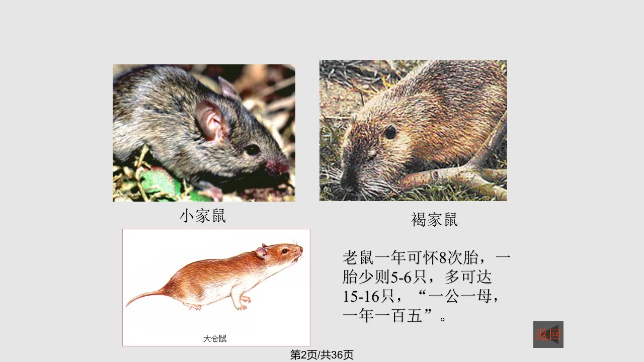 杀鼠剂及其它有害生物防治剂资料