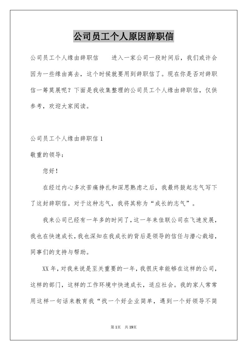 公司员工个人原因辞职信例文3