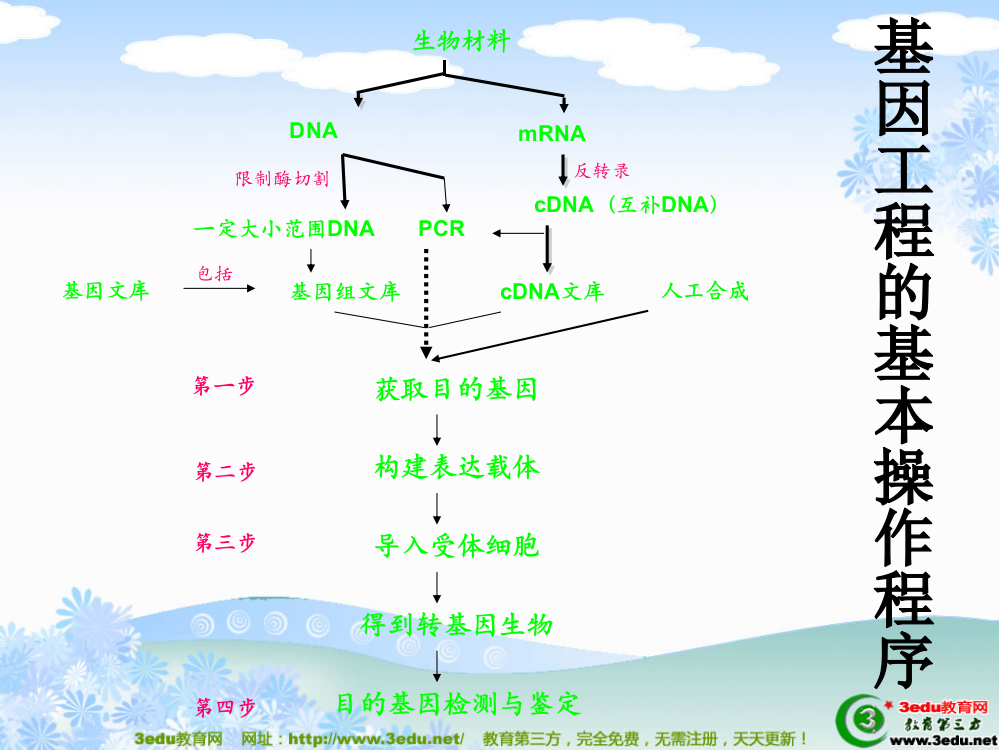 高二生物基因工程和细胞工程PPT课件