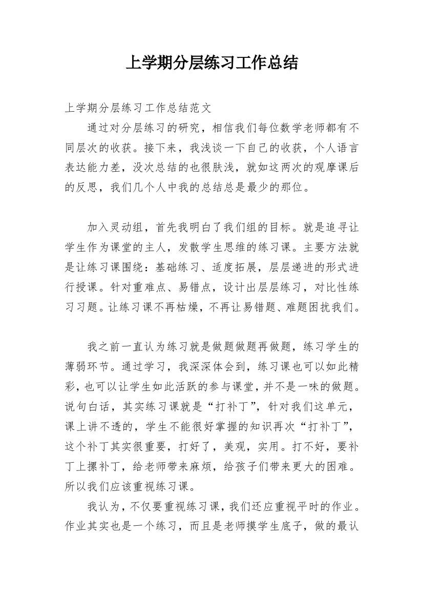 上学期分层练习工作总结