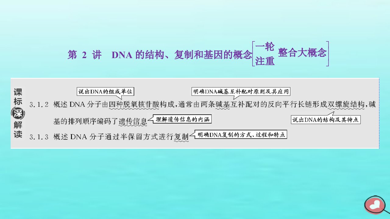 2024届高考生物一轮总复习必修2第六单元基因的本质和表达第2讲DNA的结构复制和基因的概念课件