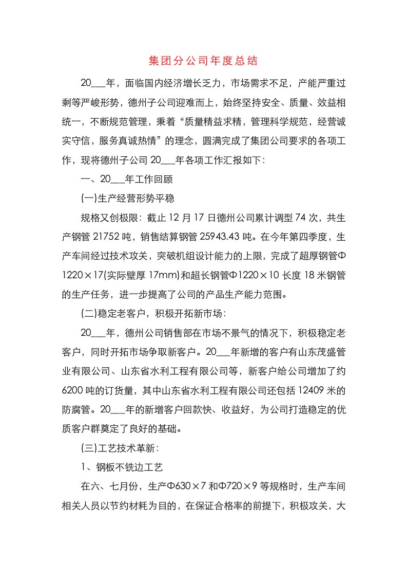 集团分公司年度总结（一）