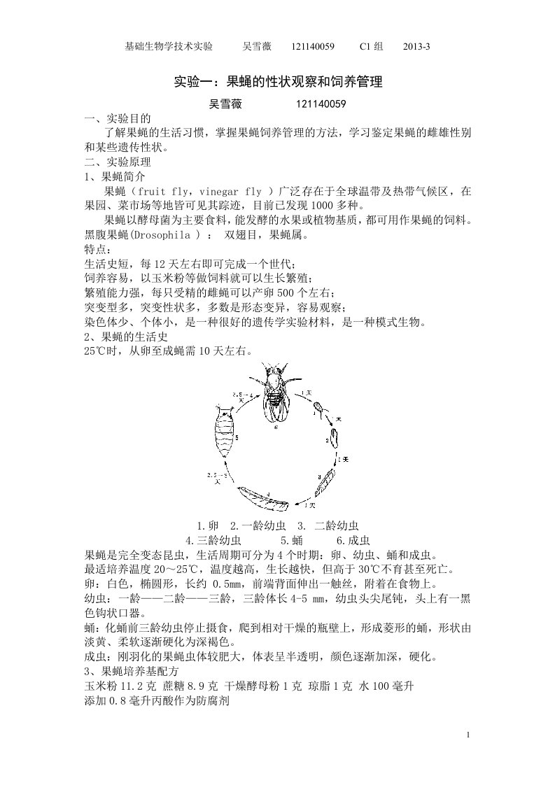 果蝇的性状观察和饲养管理实验报告