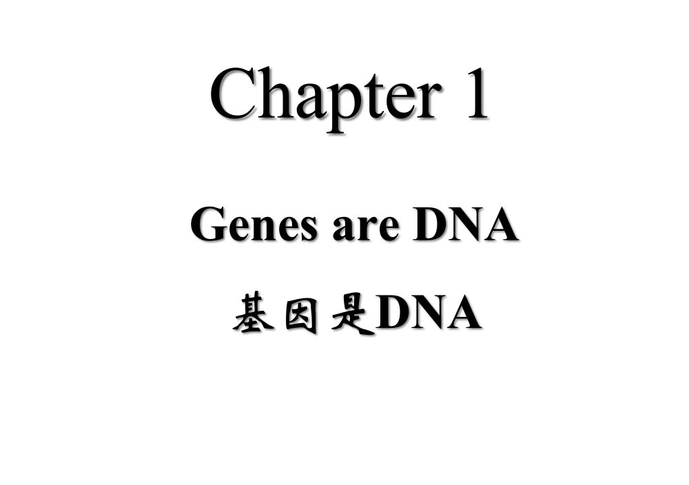 基础分子生物学公开课获奖课件省赛课一等奖课件