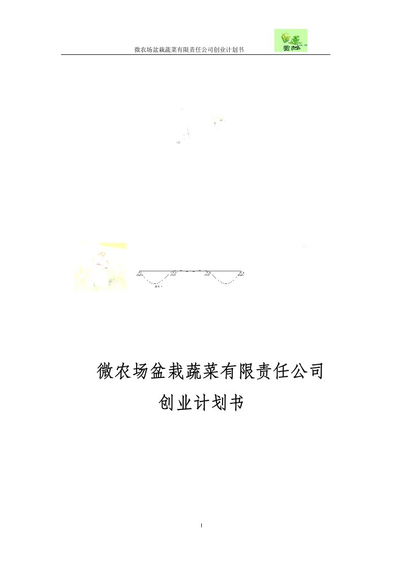 微农场盆栽蔬菜有限责任公司创业计划书