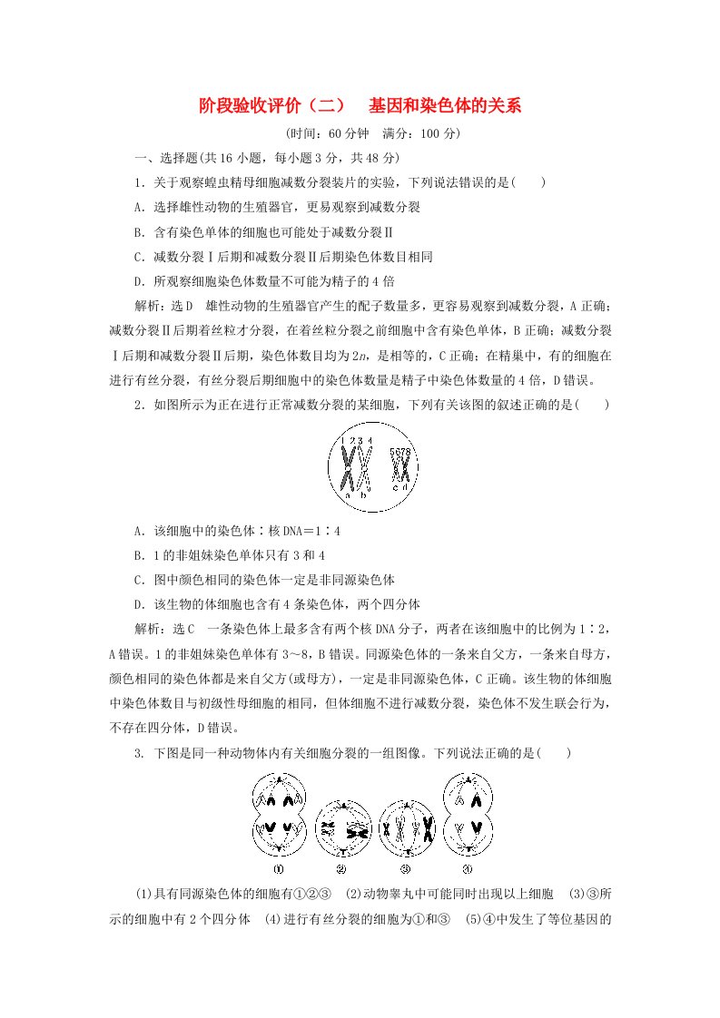 2024春新教材高中生物阶段验收评价二基因和染色体的关系新人教版必修2