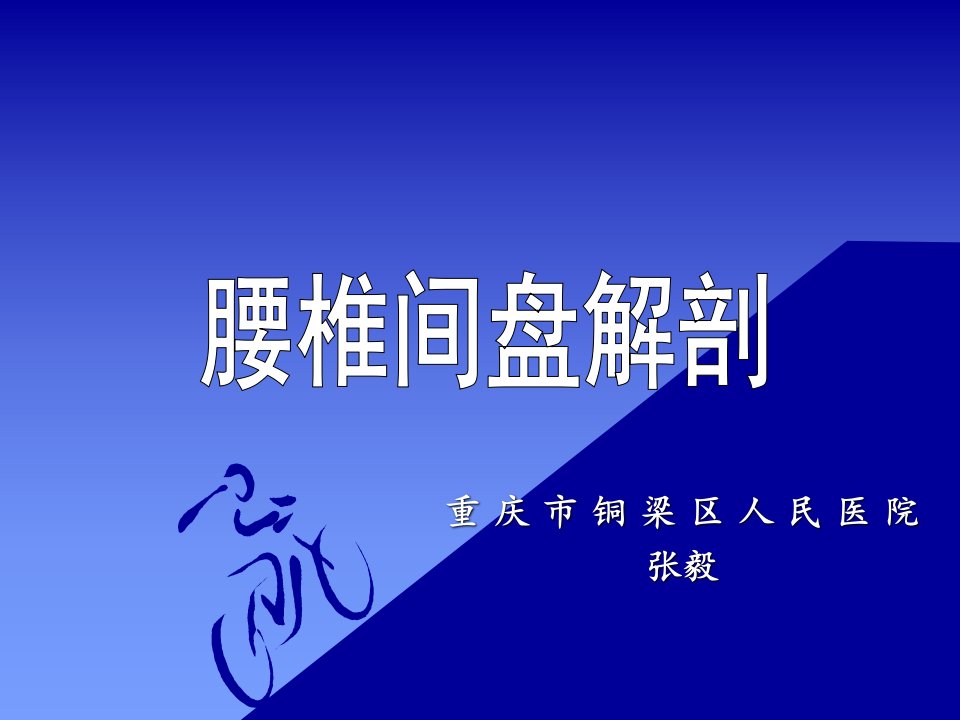 《腰椎间盘解剖》PPT课件