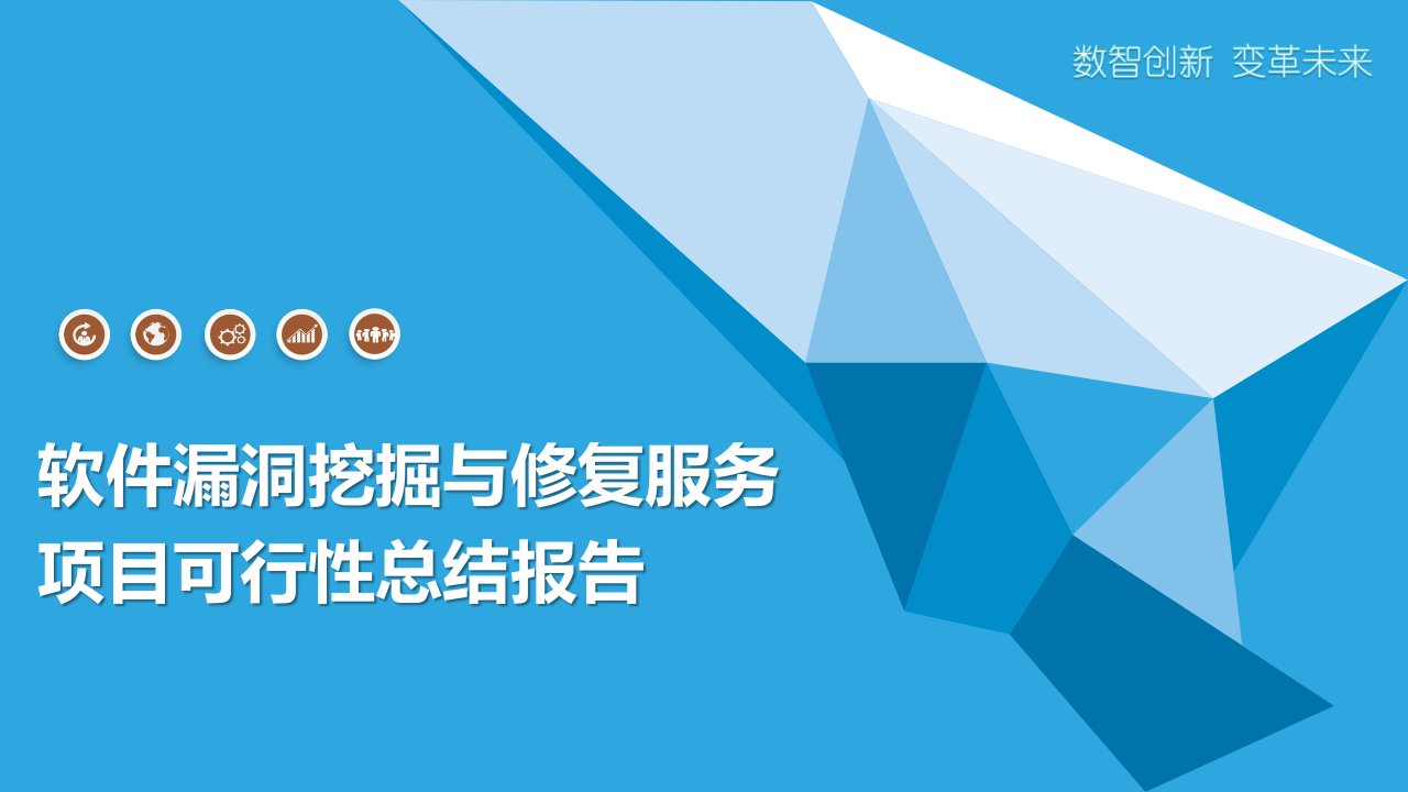 软件漏洞挖掘与修复服务项目可行性总结报告