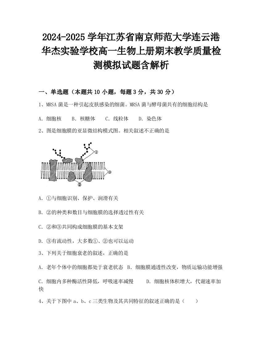 2024-2025学年江苏省南京师范大学连云港华杰实验学校高一生物上册期末教学质量检测模拟试题含解析