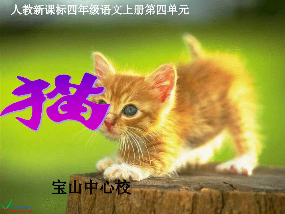 四年级《猫》执教课件5