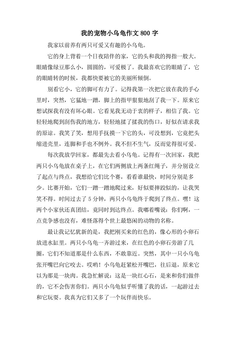 我的宠物小乌龟作文800字