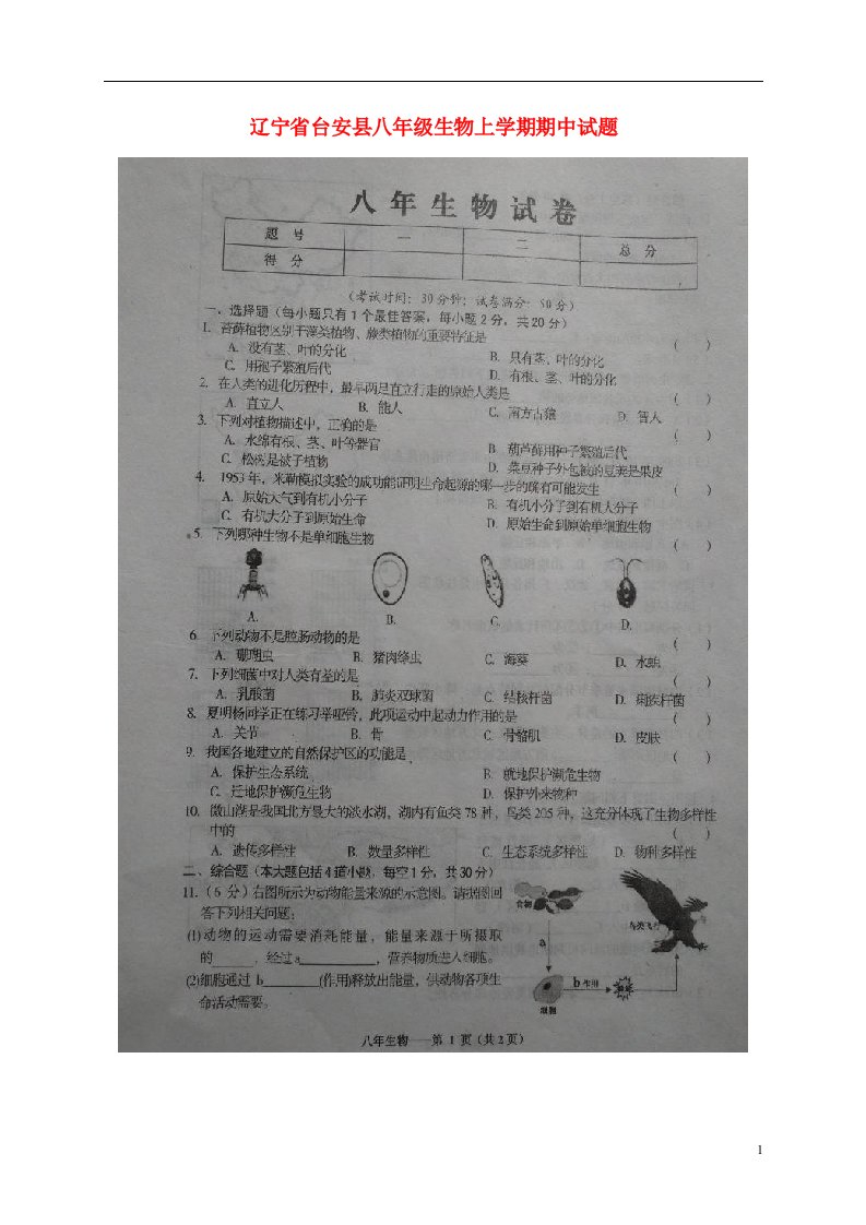 辽宁省台安县八级生物上学期期中试题（扫描版）