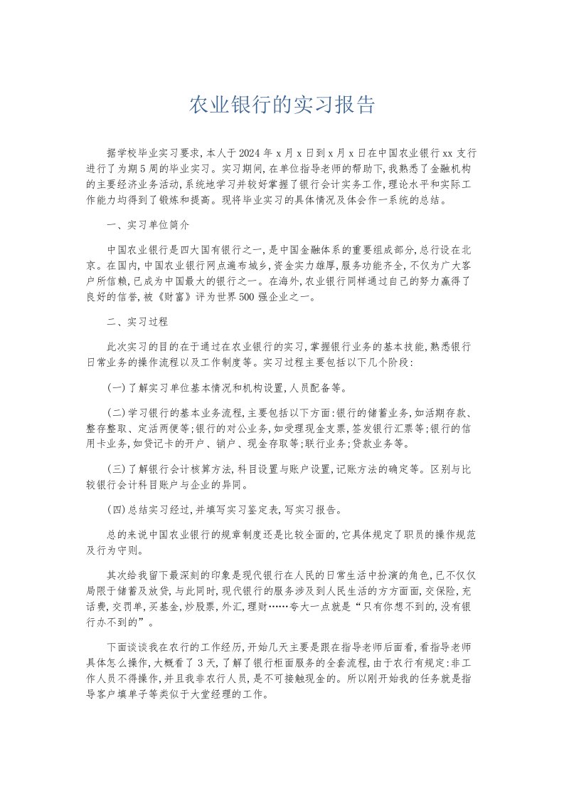 总结报告农业银行的实习报告