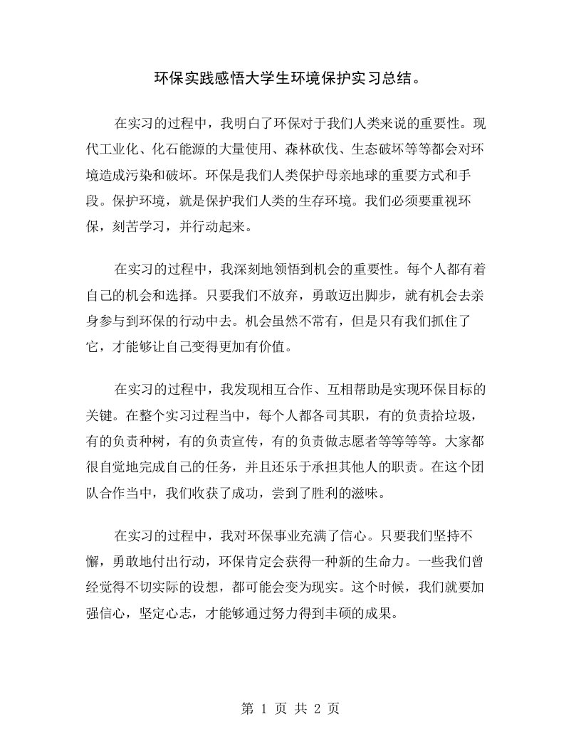 环保实践感悟大学生环境保护实习总结