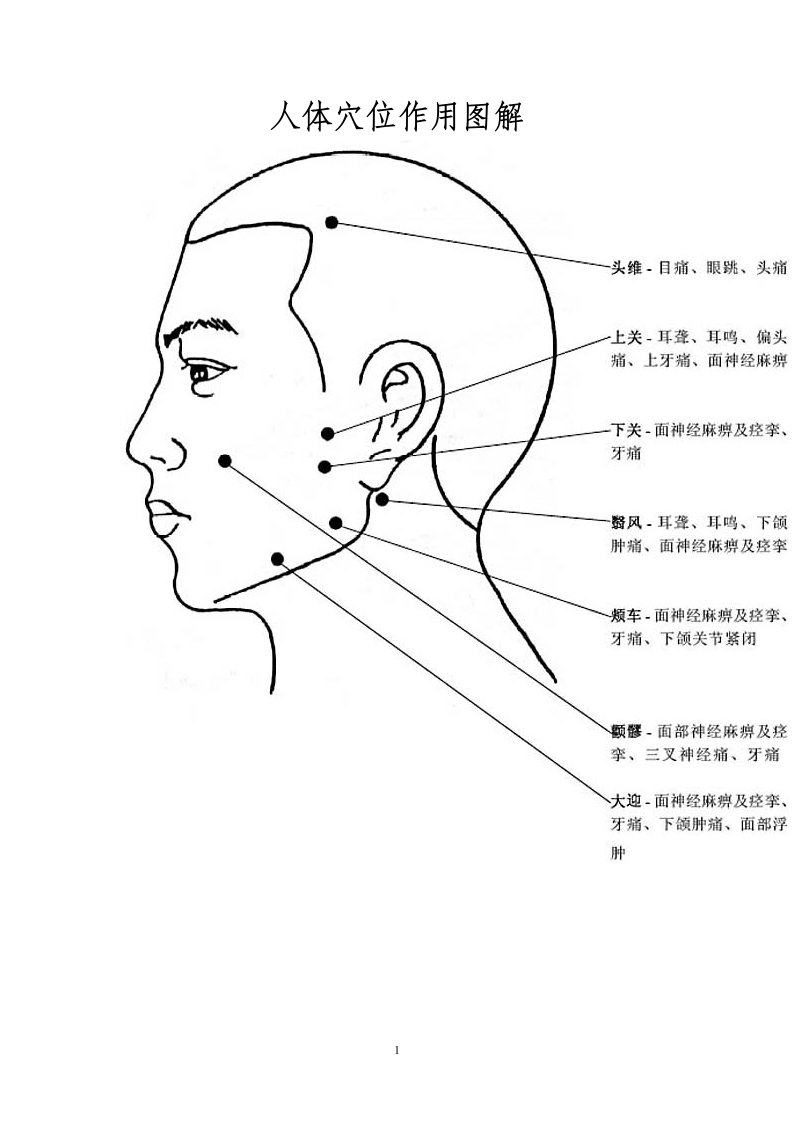 人体穴位作用图解